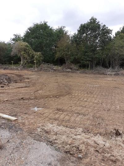 Ongoing Site Clearance